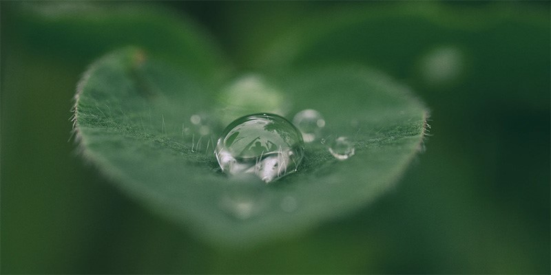 The-World-Leader-in-Sustainability